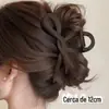 Novo Estilo de Presilha de Cabelo 2026 para Mulheres, Pente de Cabelo Exquisito de Alta Qualidade, Presilha para a Parte de Trás da Cabeça, Acessório de Cabelo, Pente de Cabelo Flor Iridescente, Presilha de Tubarão