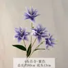 Flor Artificial 3D de Lirio de Doble Pétalo Modelo Nuevo Transfronterizo Flor de Lirio Decoración de Boda Arreglo Floral para Sala de Estar Material de Flor Artificial