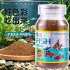 Alimento para Peces Pequeños Ornamentales, Pez Ángel, Guppy, Alimento Alto en Proteínas para Pez Betta, Alimento para Peces Tropicales