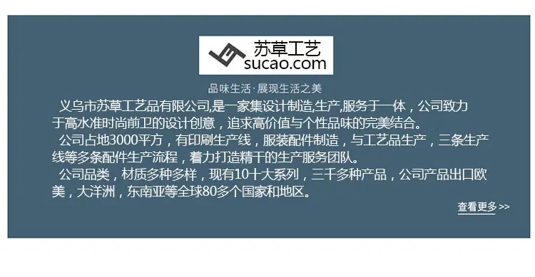 公司介绍-恢复的_03
