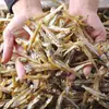 Pescado pequeño seco nuevo, pescado macho seco, mariscos secos, dorada, pez vela blanco, secado al aire, secado al sol, pescado pequeño salado, productos acuáticos al por mayor