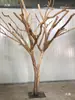 Color Madera Natural Forma de Tronco de Árbol y Ramas Árbol Decorativo Rama de Árbol Madera Maciza Exhibición Perchero