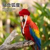 Gorro tejido de loro, gorro decorativo de pájaro de lana, accesorio para la cabeza para foto de cacatúa y periquito, venta al por mayor de disfraces para pájaros mascota