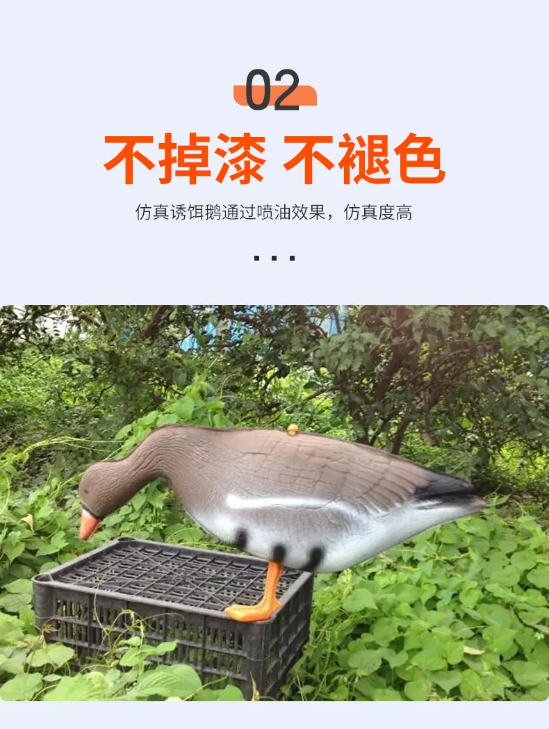 详情页_08.jpg