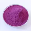 Polvo de Frutas y Verduras Runsiwei 500g Polvo de Camote Morado Polvo de Remolacha Polvo de Verduras de Cinco Colores Polvo de Calabaza Espinaca Zanahoria Al por Mayor