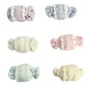 Nuevos Lindos y Dulces Tela Colorido Cuadros Fruta Caramelo Fresco 3D Accesorios para el Cabello Broche Ropa Zapato y Sombrero Accesorios