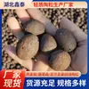 Relleno con Perlas Cerámicas para Construcción de Baños, Relleno con Partículas Grandes para Paisajismo y Uso de Perlas Cerámicas Ligeras de Pizarra
