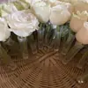 Tubo retentor de água, tubo de nutrientes, tubo para orquídeas, tubo de preservação, tubo de preservação e cultivo para buquês de flores únicas, materiais para suprimentos de floricultura