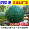 Drosophila bola pegajosa bola amarilla bola verde árbol frutal huerto ojo por ojo trampa de gusanos de palo bola trampa de mosca de la fruta grande bola de mosca fábrica mayorista