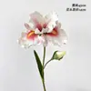 Simulación Retro 2 Flor de Iris de Alicia Flor Artificial Hogar Hotel Belleza Chen Decoración Simulación Pintura al Óleo Estudio Fotográfico