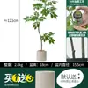 Habitat de folha de glicínia planta verde artificial alto padrão luxo leve interior sala de estar chão árvore falsa biônica planta em vaso