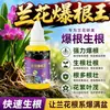 Agente Especial Estimulante de Raíces para Plantas de Orquídeas, Solución Nutritiva Especial para Orquídeas, Previene el Marchitamiento de las Hojas, Promueve el Enverdecimiento, Enraizamiento, Floración, No Requiere Dilución
