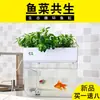 Caja de Cultivo Simbiótica de Peces y Verduras Paisaje de Cristal Tanque de Peces Dorados Super Blanco Sistema Pequeño de Escritorio Acuario Perezoso