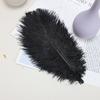Venta al por mayor de fábrica 15-80cm pluma de avestruz negra artesanía decoración arreglo floral de mesa de boda accesorios de plumas para ropa