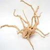 Árbol raíz paisaje acuario raíz azalea paja de agua frasco mascota trepadora raíz árbol acuario paisaje árbol arreglo floral fábrica venta al por mayor