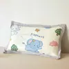 2026 Nuevo Modelo Clase A Funda de Almohada de Ratán Hielo para Niños Funda de Almohada para Jardín de Infancia Funda de Almohada para Niños Funda de Almohada Individual