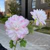 2 dalias individuales, flores artificiales para salón de bodas, exhibición en el hogar, flores falsas al por mayor