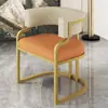 Silla Sofá de Lujo Sencillo para el Hogar Silla de Ocio para Apartamento Pequeño Sala de Estar Sofá Individual Tocador de Dormitorio Silla de Maquillaje