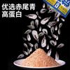 Super Marca Wang Chao Despertar Señuelo para Peces Bomba de Acero No.2 Especial de Invierno Pesca Salvaje Paquete Pequeño Carassius auratus Juego de Señuelos