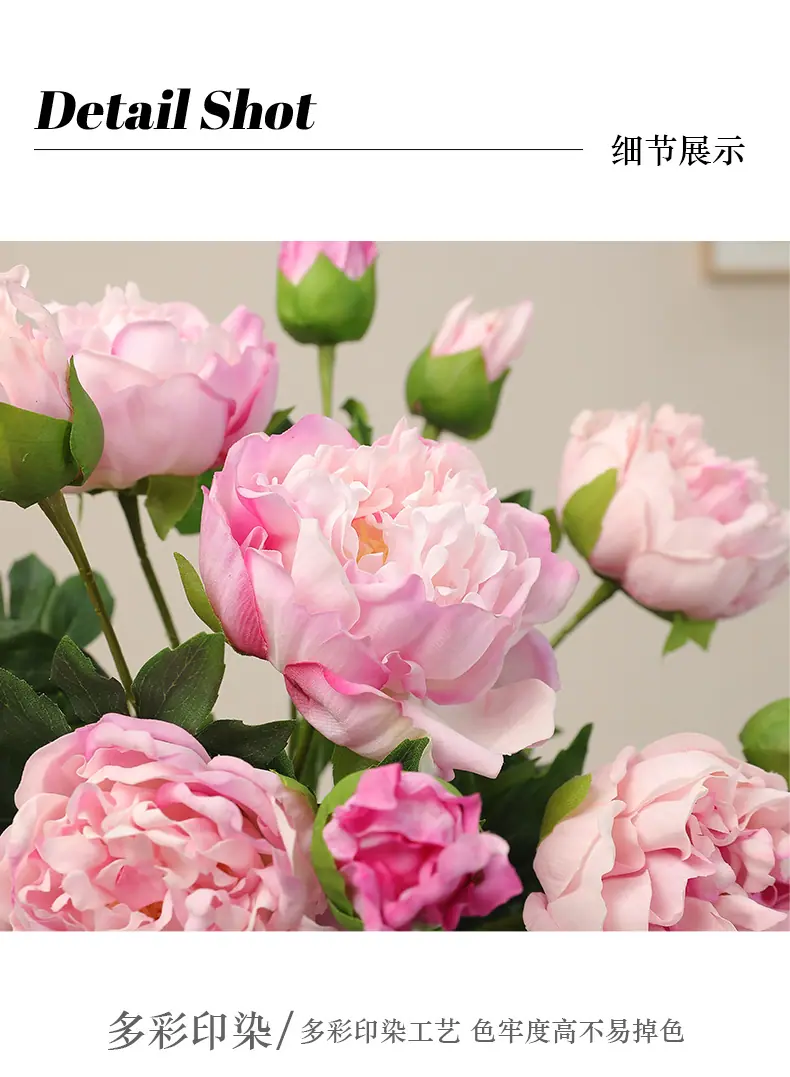 梦露两头手感牡丹_10.jpg