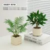 Plantas Verdes, Vasos Pequenos, Árvore da Fortuna Semelhante para Mesas de Escritório Internas, Mesas de Centro de Sala de Estar, Flores Artificiais e Arranjos Florais