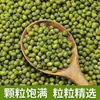 500g Frijoles Verdes Pequeños de Granja del Noreste Medio kilo de Frijoles Mung Frescos Alivio del Calor del Verano Granos Integrales Granos Gruesos Cocinar Gachas Sopa Dulce
