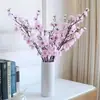 Galhos Frescos de Flor de Ameixa da Moda, Galhos Secos Hidropônicos, Flores de Ameixa Pérola Quando Expostas à Água, Fáceis de Cultivar em Ambientes Internos, Resistentes ao Frio e ao Calor
