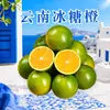 Azúcar de roca de Yunnan naranja Dropshipping Mini red para fruta fresca Protección Sabor jugoso Comer después de las comidas Fruta fresca