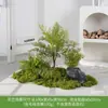 Musgo Sintético Decoración Suave para Interiores Conjunto de Micro Paisaje Combinación Exhibición en Ventana Pasillo Musgo Artificial Plantas Verdes Arreglo de Paisajismo Decoración