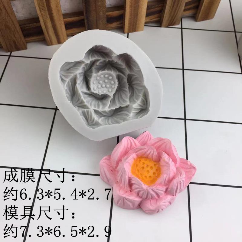 荷花7