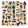 Compra Directa Transfronteriza de 50 Pegatinas Transparentes Realistas de Insectos, Mariposas, Arañas, Muy Vendidas para DIY en Maletas, Fundas de Teléfono, Refrigeradores