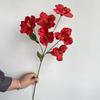 Flor Artificial 6 Cabeças Jianlan, Flor Borboleta, Flor Trombeta, Arranjo de Flores para Salão de Casamento, Arranjo Decorativo, Flor Decorativa em Estoque