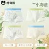 Pantalones de Algodón Azul Marino Pequeño Ropa Interior para Niños de Algas Calcetines tipo Boxer de Algodón Clase A para Niños y Niños Pequeños
