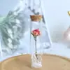 Tubo de ensayo Flor Seca Flor Eterna Gipsofila Rosa Planta Especimen Decoración Día del Maestro Navidad Regalo para Novia