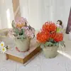 Bonsái Redondo Pequeño para Exhibición en Mesa, Hierba de Roca, Hojas de Ciprés, Flores Artificiales, Flores Falsas, Flores Decorativas, Arreglos de Flores Artificiales para Ambientación de Escena