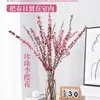 Plántulas, Perlas, Ciruelas Pasas, Ramas de Durazno, Flores de Cerezo, Plantas Hidropónicas con Brotes, Florales Secos Cortados Frescos, Sauces de Nieve Cultivados en Agua de Interior