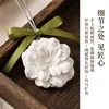 Difusor de Gesso Aromaterapia Personalizado Pastilhas de Cera Difusor de Aroma para Pendurar no Carro Purificador de Ar Aromatizador Sem Chama Caixa de Presente