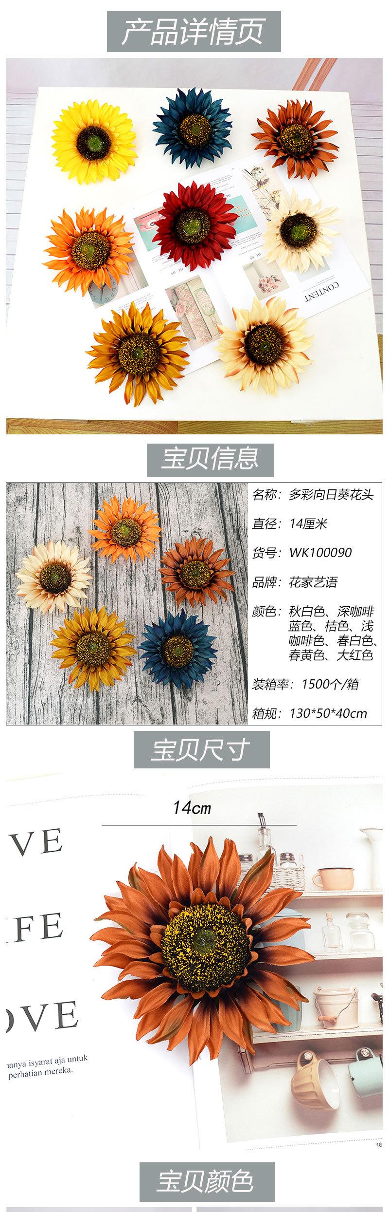 多彩向日葵花头_01.jpg