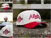 Boné de Baseball Novo 2025 para Homens e Mulheres, Boné Bordado Estilo Pato, Estilo Anime Japonês, Chapéu de Sol Ajustável