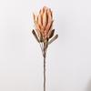 Flor de Emperador Artificial, Flor de Princesa Sudafricana, Arte Floral Decorativo, Arreglo Floral Eterno, Ramo de Compromiso al por Mayor, Flores Artificiales para Comercio Transfronterizo