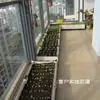 Caja Multifuncional para Cultivo de Verduras en Casa, Equipo de Maceta para Verduras de Balcón, Maceta Rectangular Engrosada, Ranura para Soporte de Macetas Extra Grande