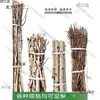 Ramas de Abedul Blanco, Troncos, Ramas, Manualidades Hechas a Mano para Jardín de Infancia, Barandillas Decorativas para Paisajismo, Taibao de Trigo Natural