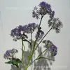 Flor de piedra coliflor silvestre cebolleta bosque salón de bodas área de bienvenida pared de flores arreglo floral flor artificial comercio exterior al por mayor flor artificial