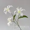 Flor de Simulação de Casamento Branco Verde Flor Mori Simulação Planta Verde Decoração de Fundo de Casamento ao Ar Livre Arranjo de Flores Jardim de Monet
