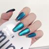 Douyin Chuanwu Champagne Diamante Olho de Gato Unhas Usáveis Luxo Leve Explosivo Adesivos de Unha Usáveis Outono e Inverno Mais Fácil de Combinar Transmissão Ao Vivo