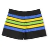 Bañadores de Poliéster Estampados de Moda para Adultos Tallas Grandes, Boxer Anti-Vergüenza para Vacaciones de Invierno en Aguas Termales Venta al por Mayor