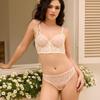Ropa Interior Francesa Transfronteriza para Mujer Verano Encaje Bordado Color en Contraste Estilo Chaleco Ultradelgada Transparente Sexy Set de Brasier sin Esponja