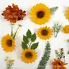 Simulação transfronteiriça 38 peças de girassol girassol grampo de cabelo flor material de flor saco DIY feito à mão adorno de cabeça faixa de cabelo chapéu flor decorativa