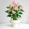 Planta en Maceta de Anturio con Flores, Planta de Interior para Escritorio de Oficina, Planta Verde para Sala de Estar, Purifica el Aire, Bonsái Fácil de Mantener