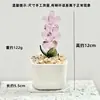 Adornos de Escritorio Hechos a Mano de Flor de Jacinto Suculento Esmaltado Decoración de Maceta de Planta Artificial de Vidrio Micro Paisaje Creativo